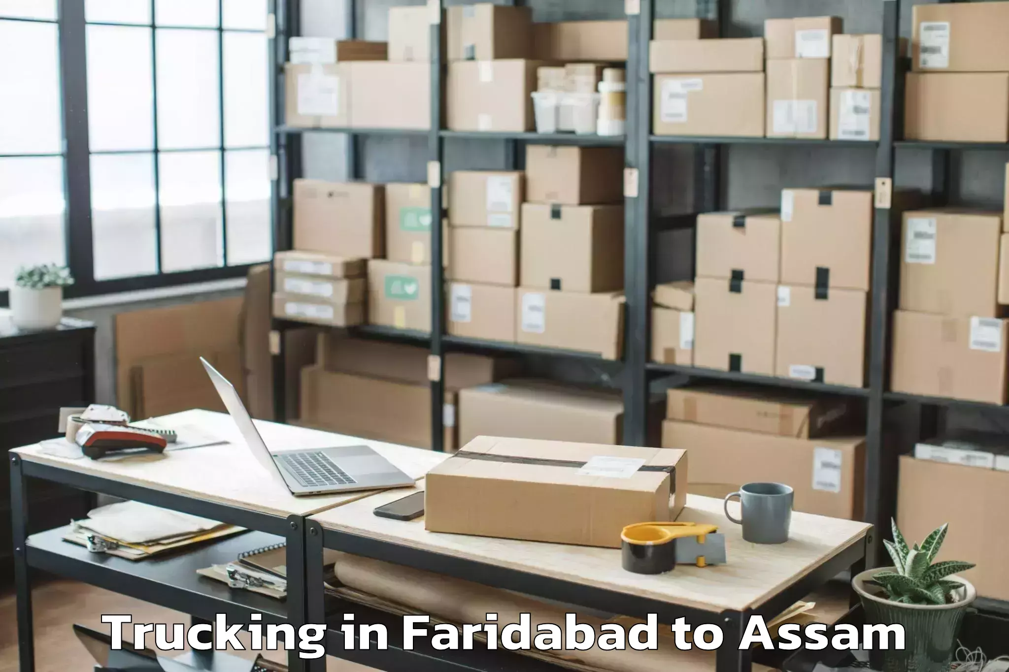 Easy Faridabad to Azara Trucking Booking